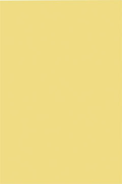 Foam Board 3/16'' Thick 20X30 Yellow