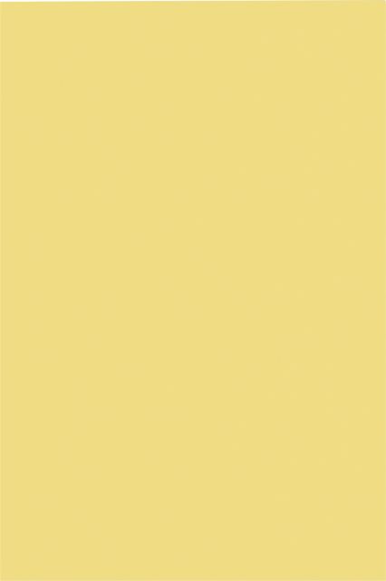 Foam Board 3/16'' Thick 20X30 Yellow