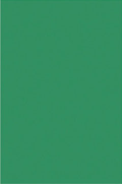 Foam Board 3/16'' Thick 20X30 Green