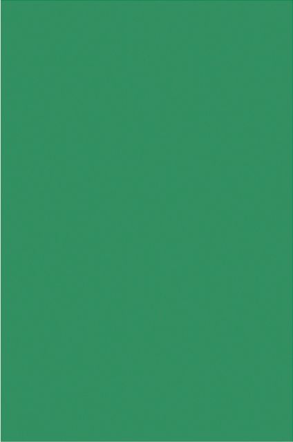 Foam Board 3/16'' Thick 20X30 Green