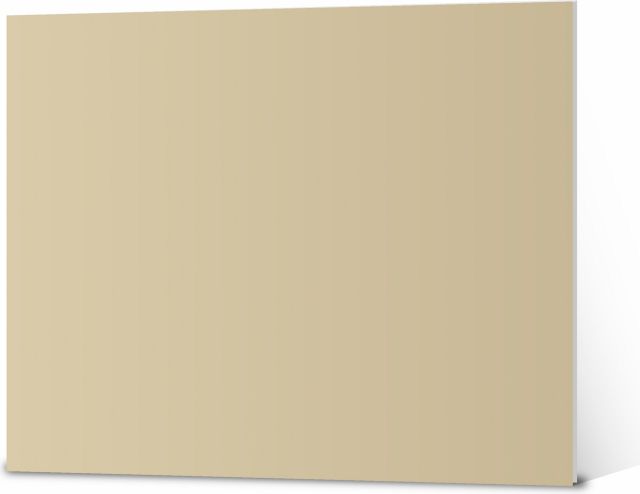 Foam Board 3/16'' Thick 20X30 Tan