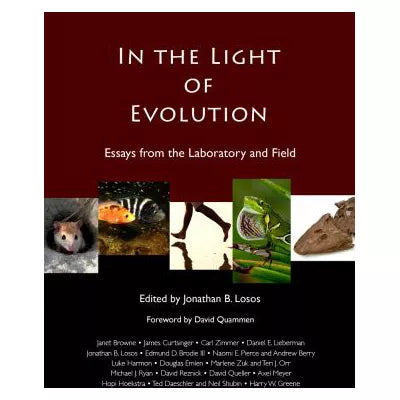 In The Light Of Evolution