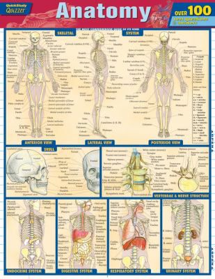 ANATOMY QUIZZER